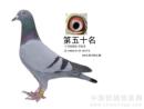 �������蹫��280����50��
