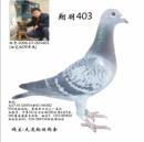 �����*����.������