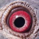 �ֻ��ո���