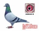 �ҵ�����4