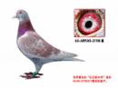 �ҵ�����10