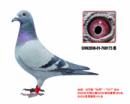 �ҵ�����12