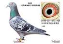 ���鹫��13��