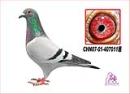 ����011