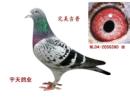 6360