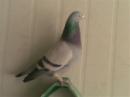 �ҵİ���