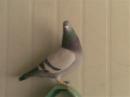 �ҵİ���