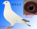 �ٱ�