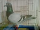 QQ��ϵ