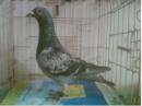 QQ��ϵ