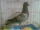 QQ��ϵ
