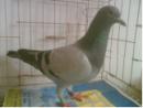 QQ��ϵ