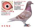 CHN2010-01-312564��