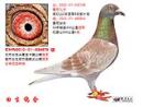 CHN2010-01-834875� ��