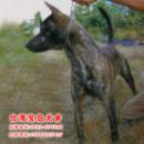 ̨������1