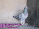 ����