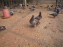 �ҵİ���5