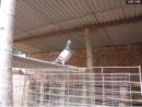 �ҵİ���6