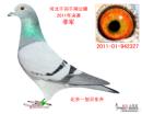 �ҵ�ǧ��ǧ�輾��