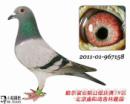 ������־�蹫�����29��