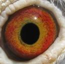 �Ǿ���������