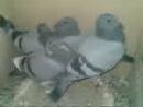 �ҵİ���