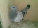 �ҵİ���