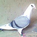 ����-100��