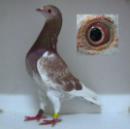 ��ǧ�����024