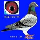 00�����ʱ����֮��