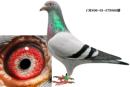 �ھ�566��������*����787Ů����
