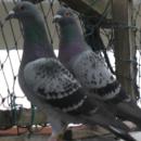 2011�Ĵ�ʮ����