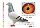 2012