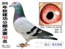 10�꽻����񽱸�����