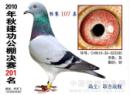 10�꽻����񽱸�����