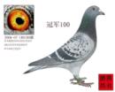 �ھ�100