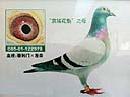 ���ǻ���֮ĸ