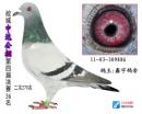 �д�36��