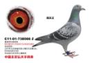������