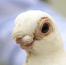 �½����͸�2