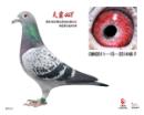 ���488