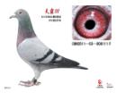 ���111