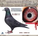 CHN2012-01-187938