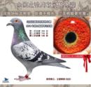 CHN2012-01-660405