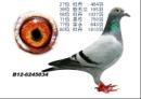 ʢ��034
