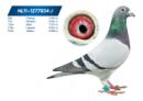 �Ҿ���834