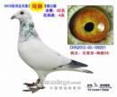ͬ�蹫��82��