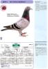 741ĸ��613ֱŮ
