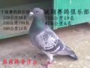����