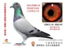 �ػʵ����蹫�����27��